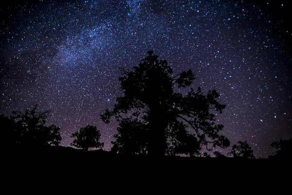 dağlarda güzel akşam yıldızı