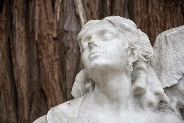 Detalhes do monumento dedicado ao poeta Gustavo Adolfo Becquer em Sevilha — Fotografia de Stock