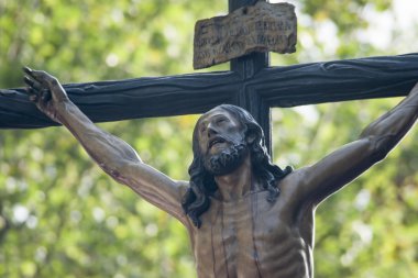 Alayı köpek yavrusu Seville kardeşlik