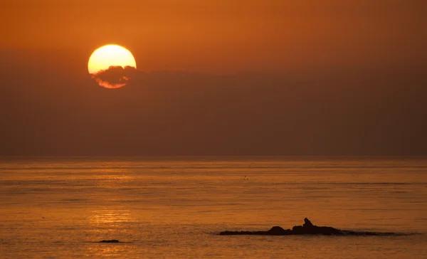 Sunrise on the Costa del Sol in the province of Malaga, Andalusia — Stock Photo, Image