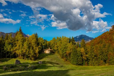 Doğada ıssız bir kulübe.