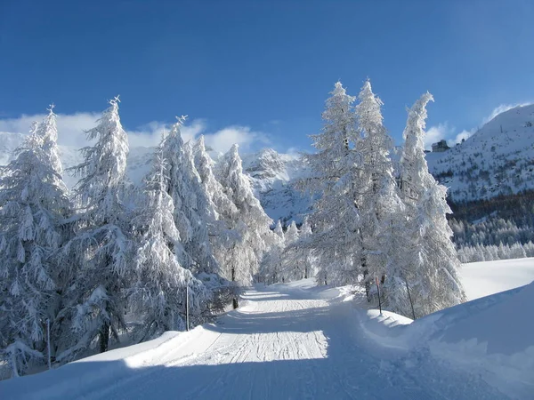 Paisaje Montaña Después Fuertes Nevadas —  Fotos de Stock