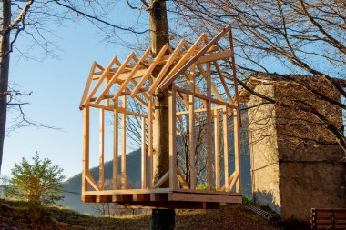 Ağaçta bir ev inşa etmek