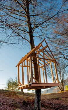 Ağaçta bir ev inşa etmek