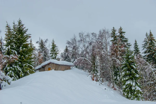 Casa Isolada Neve — Fotografia de Stock