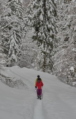 Kar ayakkabılarıyla karda yürü.