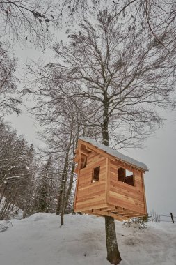 Ağaçta yapılmış ahşap bir ev.