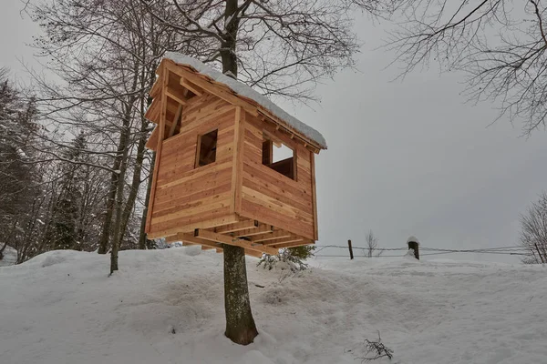 Casa Madeira Construída Sobre Uma Árvore — Fotografia de Stock