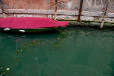 Venedik kanalında kir