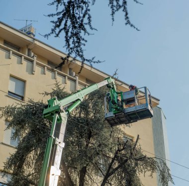 Milan İtalya 29 Mart 2021: Bahçıvan kentteki ağaçları budarken güvenli bir şekilde koşu bandına çıktı