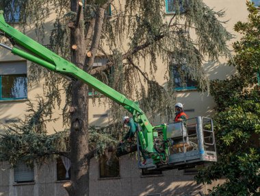 Milan İtalya 29 Mart 2021: Bahçıvan kentteki ağaçları budarken güvenli bir şekilde koşu bandına çıktı