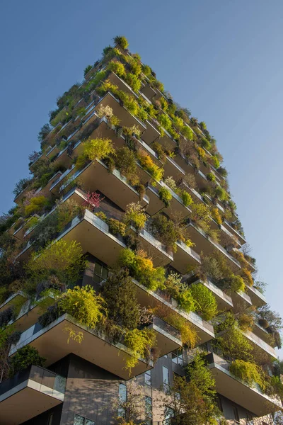 Milan Isola Ilçesinde Balkonlarda Büyüyen Ağaçlarla Birlikte Bosco Verticale Yeni — Stok fotoğraf