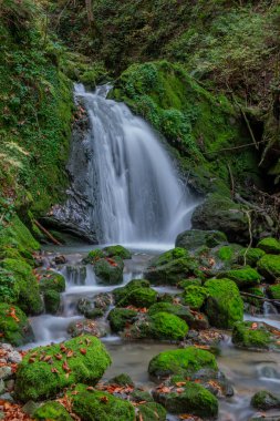Sonbaharda ormanda şelale