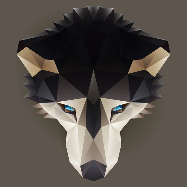 Vector bajo poli husky — Vector de stock