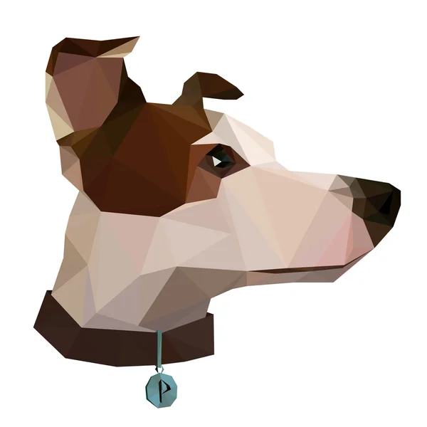 Illustration de Jack-russel terrier — Photo