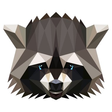 Vektör düşük Poli racoon