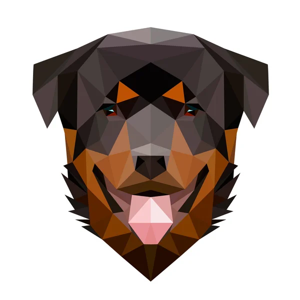 Vector low poly rottweiler dog — Stock Vector