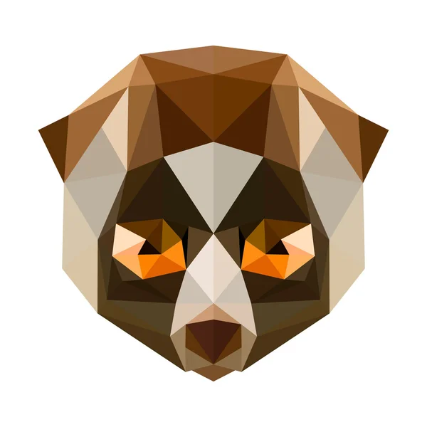 Vecteur low poly lori — Image vectorielle