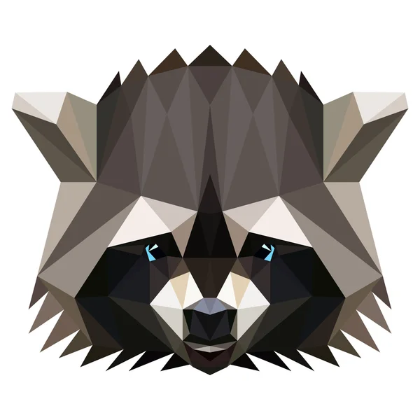 Vecteur low poly racoon — Image vectorielle