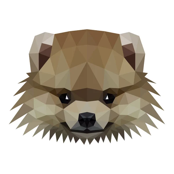 Ilustracja wektorowa Low poly pomorskie psa — Wektor stockowy