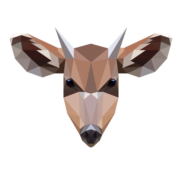 Nízké poly vektorové ilustrace roe deer — Stockový vektor