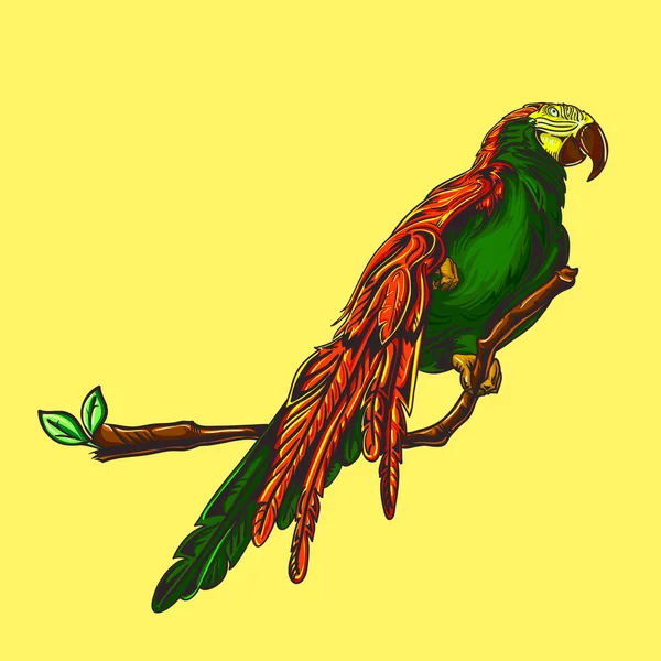 Grafika wektorowa papuga — Wektor stockowy