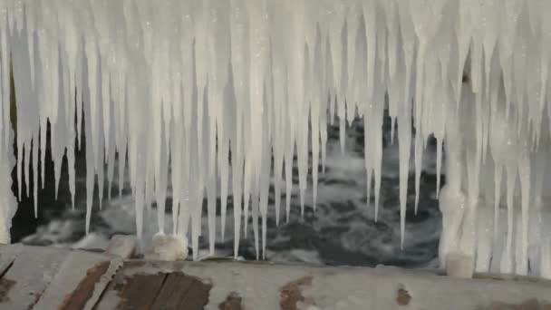 Icicles from salt water — Stock Video