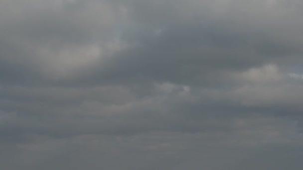 Olas rodadas en el muelle — Vídeos de Stock