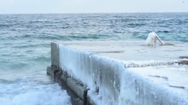 Хвилі, загорнуті взимку на пірсі. зимовий морський пейзаж — стокове відео