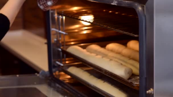 Buns in an electric furnace — Stock Video