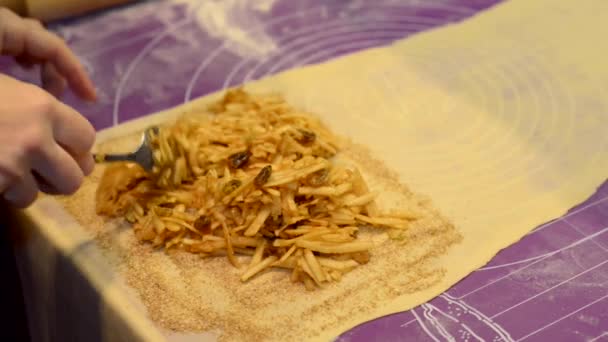 Mãos femininas fazendo strudel de maçã — Vídeo de Stock