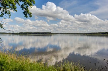 Ulusal Doğa Rezerv büyük ve küçük tisy