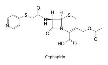 Cephapirin iskelet yapısı. Kafadanbacaklı antibiyotik bileşik şematik illüstrasyon. Basit diyagram, kimyasal formül..