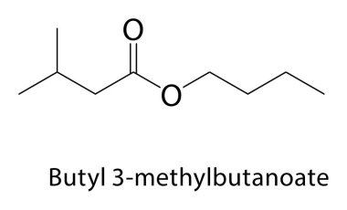 1-tert-Butyl-3,5-dimetil-2,4,6-trinitrobenzen iskelet yapısı. Nitroaromatik bileşik şematik çizim. Basit diyagram, kimyasal formül..