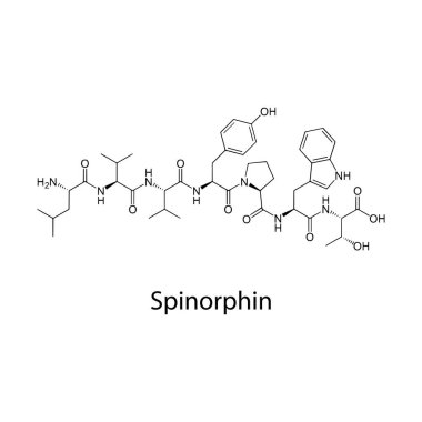 Beyaz zemin üzerinde Spinorphin Peptide Yapısı Çizim İskelet formülü. Basit kimyasal çizimler.
