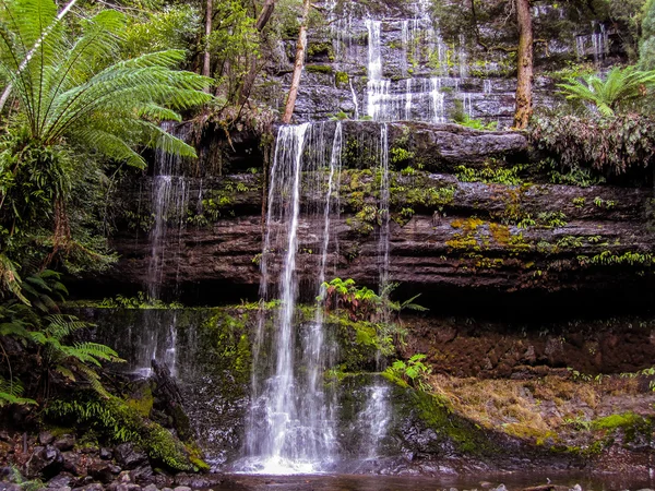 Nádherný vodopád deštný prales Stock Snímky