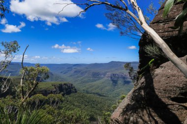 Avustralya'da yürüyüş