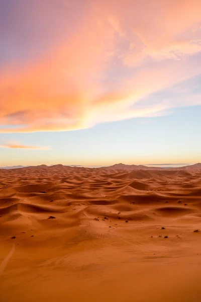 Desert between Argelia and Morocco — Stok fotoğraf