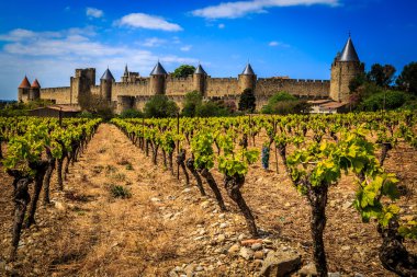 Medieval Castle on a sunny day