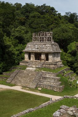Meksika Palenque Tapınağı