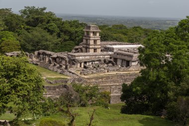 Meksika Palenque Harabeleri