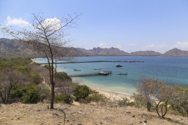 Komodo Ulusal Parkı, Endonezya.