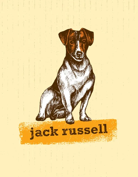 Jack Russell terrier cão — Vetor de Stock