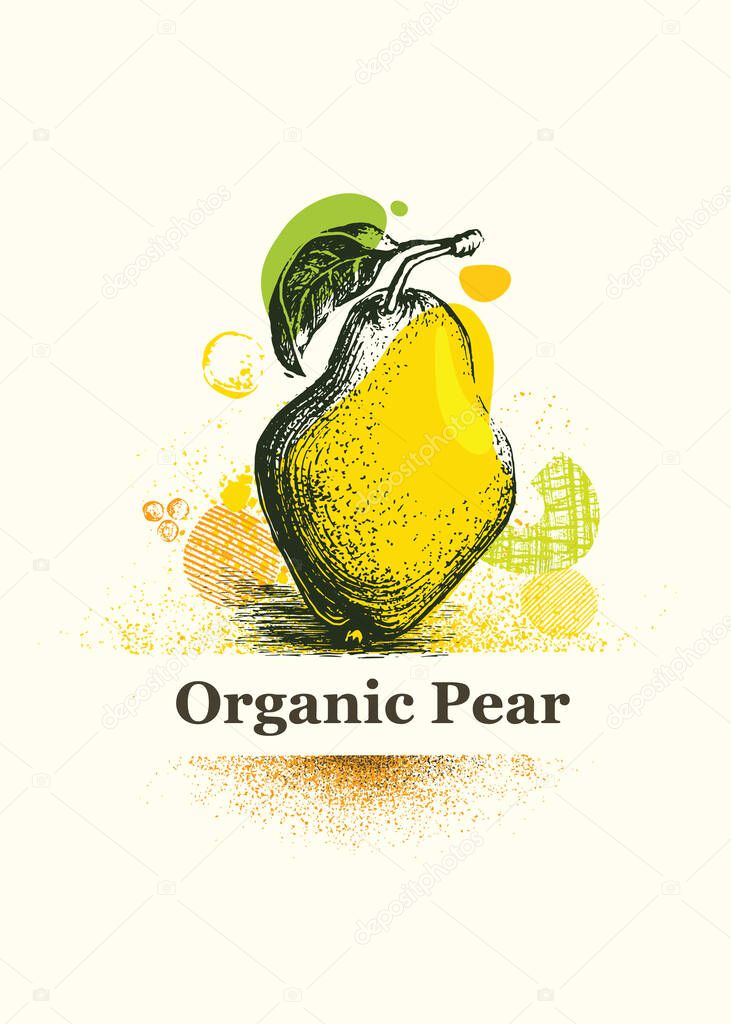 Organic Pear. Fresh Local Farm Fruit Artistic. Vector illustration With Handmade Textured Design Elements