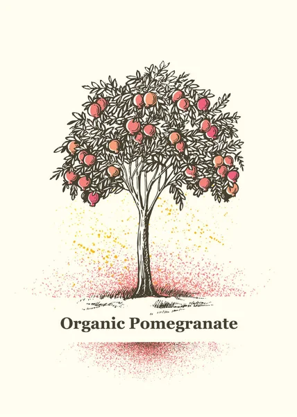 Signe d'arbre de grenade biologique. Jus frais Illustration artistique de fruits de la ferme locale — Image vectorielle