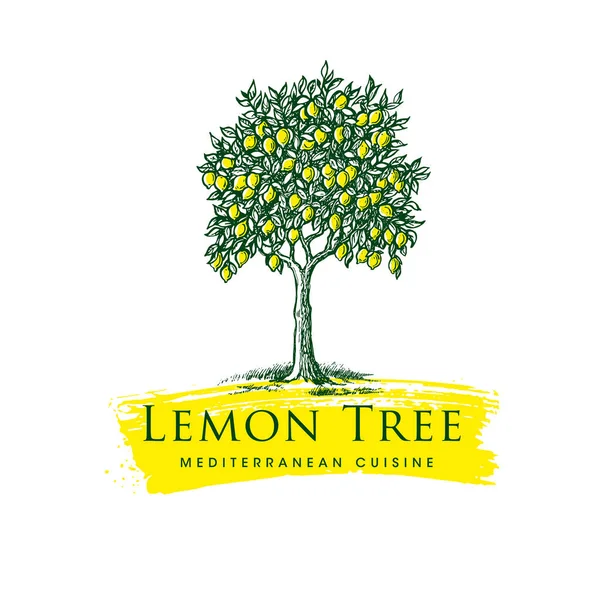 Lemon Tree Mediterranean Cuisine Organic Handmade Sign Concept. 과일 재배법의 예를 보여 주는 신선 한 현지 농장의 레몬 — 스톡 벡터