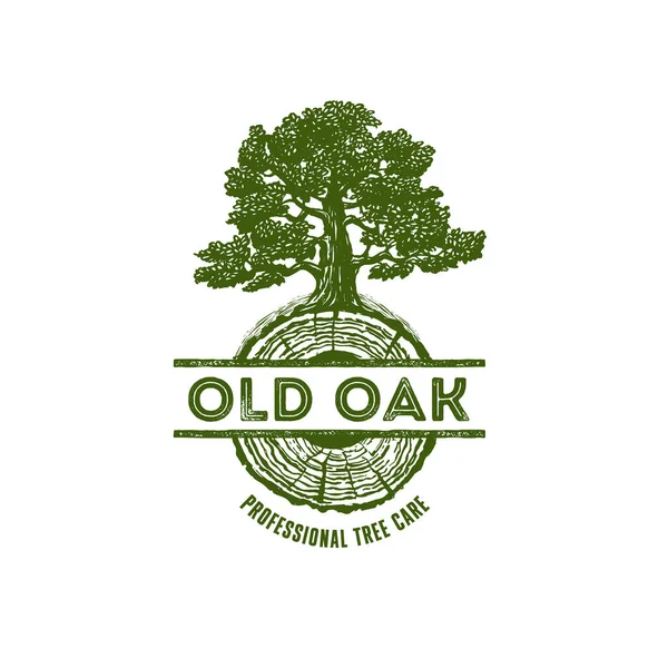 Old Oak Arborist Tree Care Service Organic Eco Sign. Логотип ландшафтного дизайна. Сельский векторный флаг — стоковый вектор
