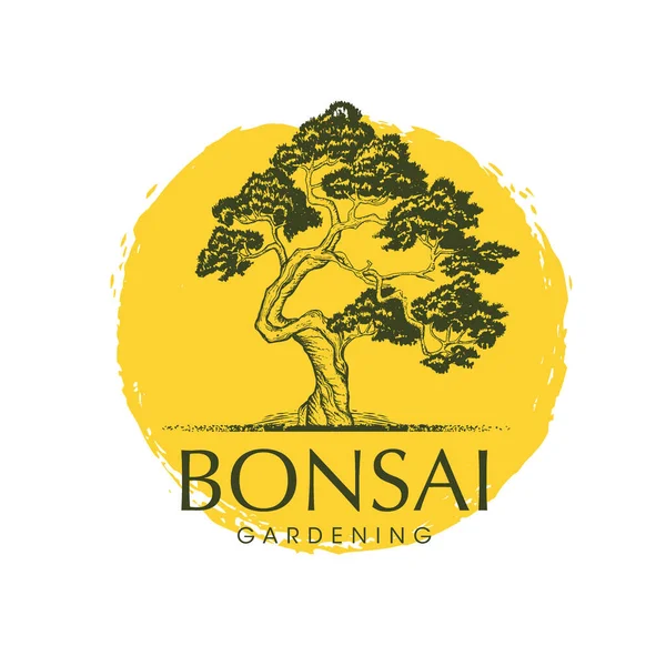 Japonês Bonsai Garden Tree Logo. Planta silhueta ícone orgânico assinar com escova Círculo. Ilustração Botânica Criativa do Vetor —  Vetores de Stock