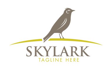 Skylark kuş kavramı
