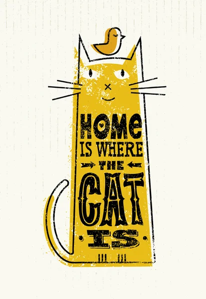 Kedinin alıntı yerini evim